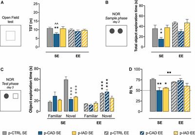 Environmental Enrichment During Adolescence Mitigates Cognitive Deficits and Alcohol Vulnerability due to Continuous and Intermittent Perinatal Alcohol Exposure in Adult Rats